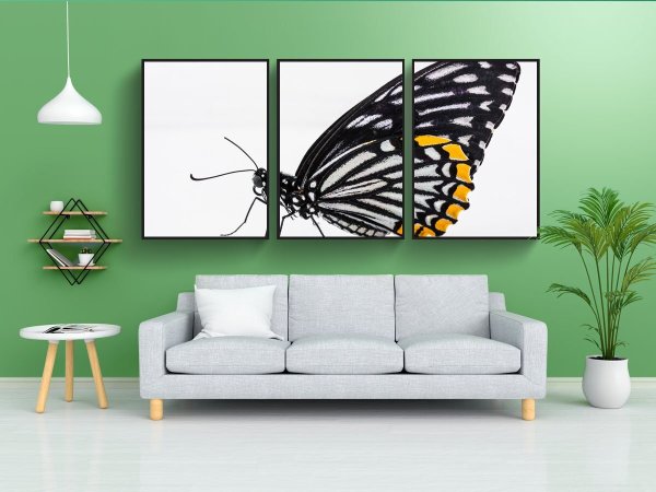 Бабочки плакат