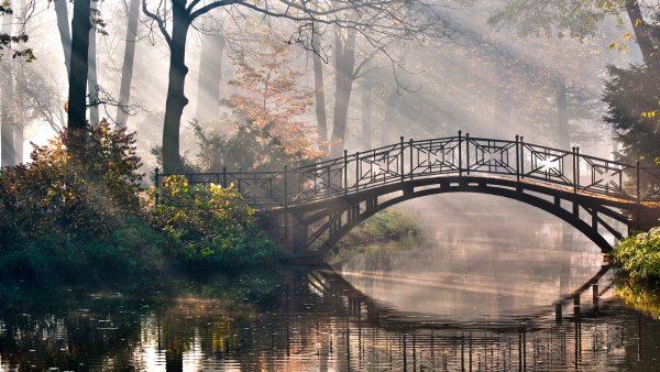 Берта Шмидт-Эллер