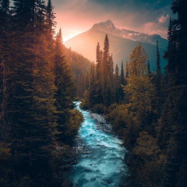 Пейзаж вертикальный