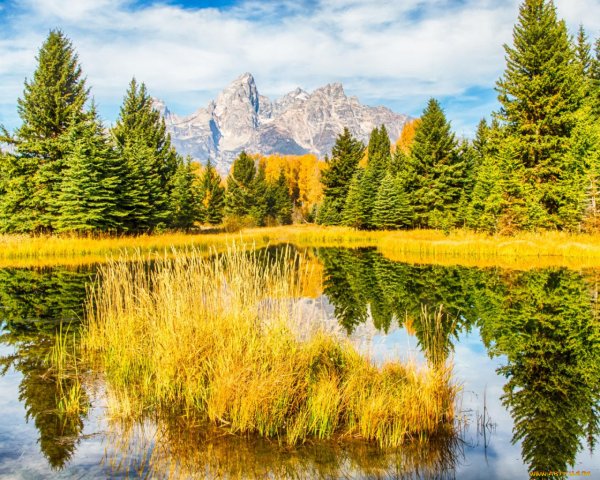 Атмосферные пейзажи