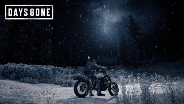 Days gone куртка