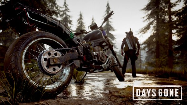 Жизнь после (Days gone™)