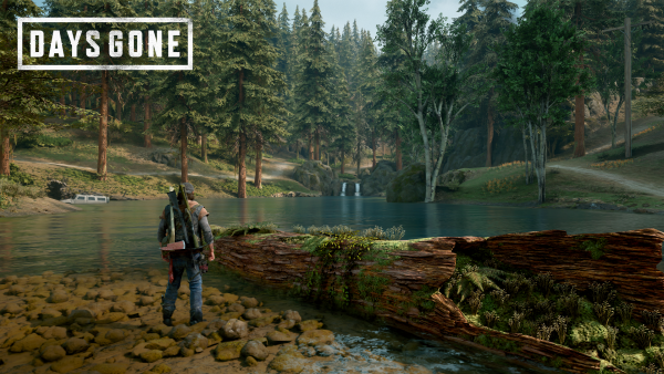 Days gone надпись