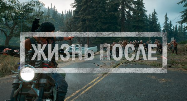 Days gone мультиплеер