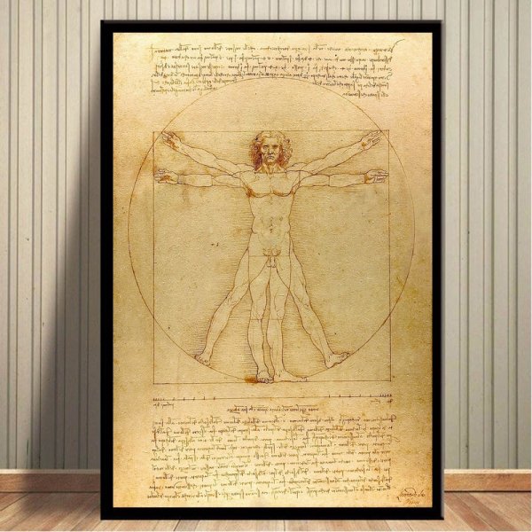 Картина Витрувианский человек Леонардо да