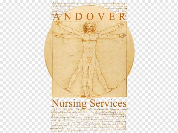 Да Винчи человек Витрувианский оригинал