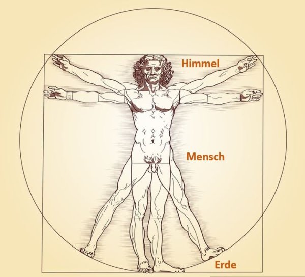 Витрувианский человек Леонардо Постер