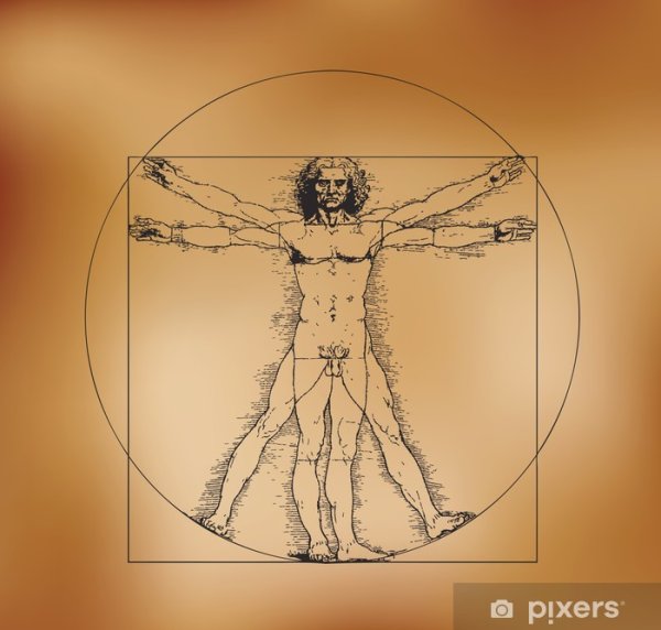 Леонардо да Винчи картины человек