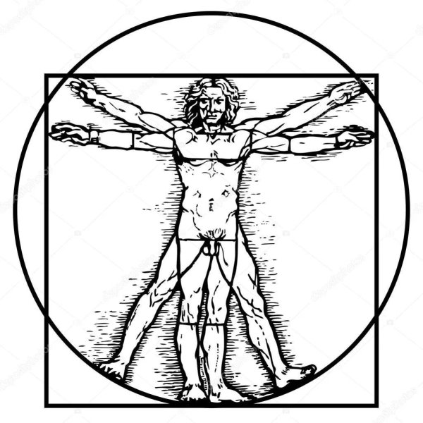 Модулор Леонардо да Винчи