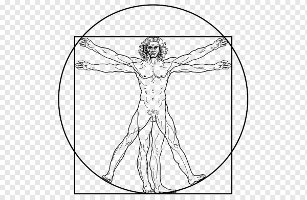 Вегетарианский человек Леонардо да Винчи