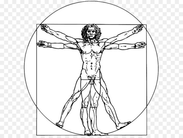 Витрувианская женщина Леонардо да Винчи