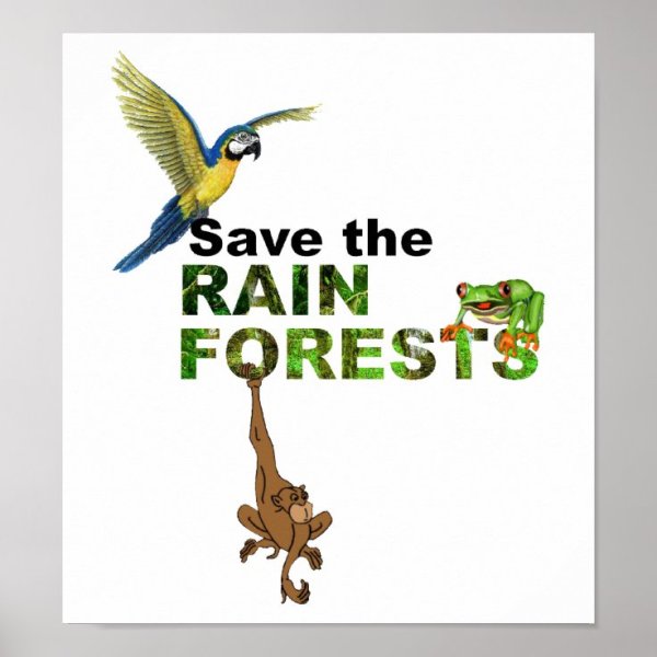 Rainforests плакат save the Rainforest