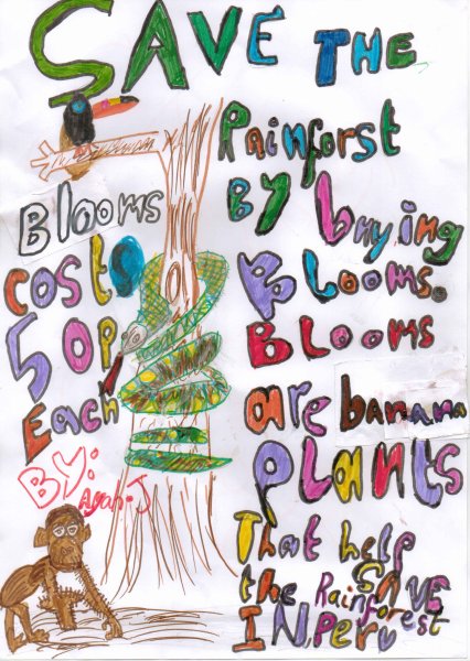 Плакат на тему save the Rainforests