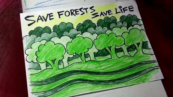 Save the Rainforests плакат