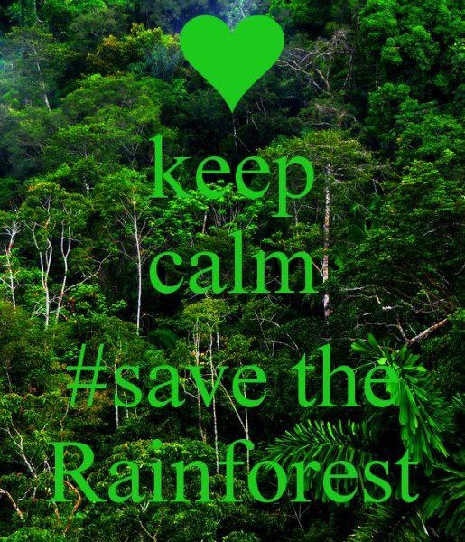 Rainforests плакат save the Rainforest