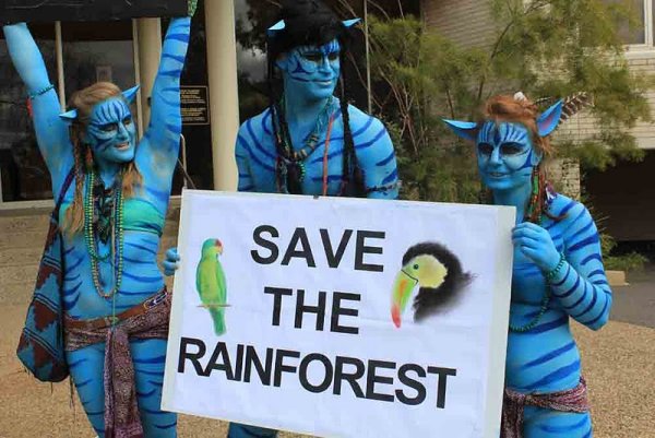 Защита тропических лесов плакат