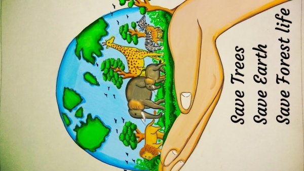 Спасти тропические леса плакат