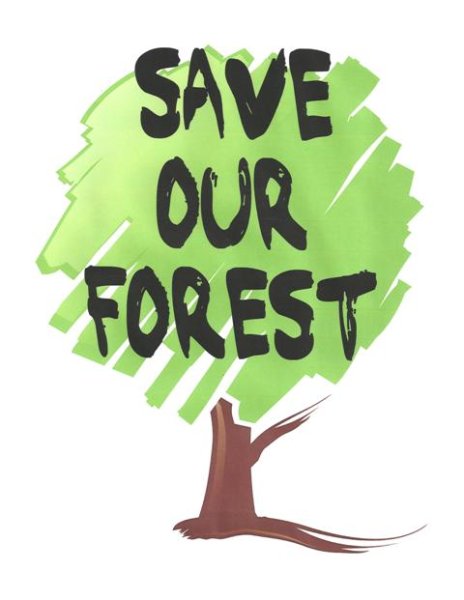 Save our Rain Forest