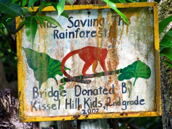 Спасти тропические леса плакат