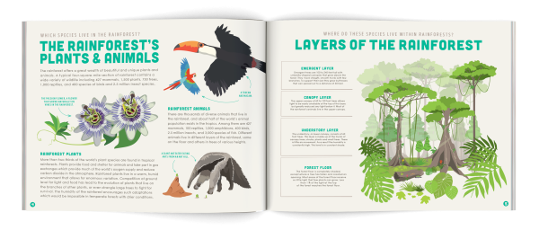 Saving Forest poster