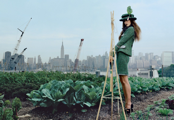 Экология дизайн