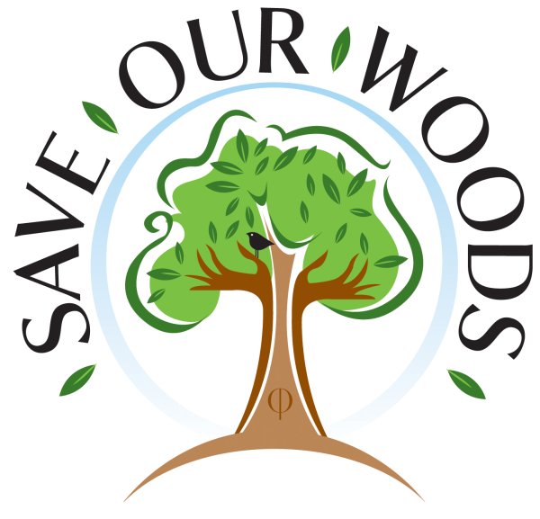 Экологичная стильная одежда