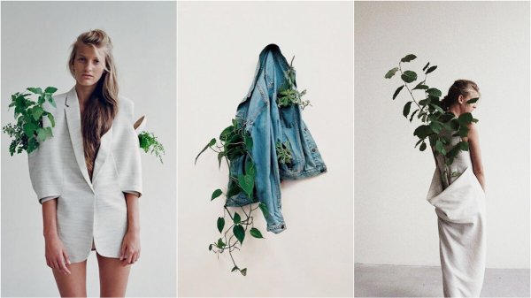 Экология иллюстрация