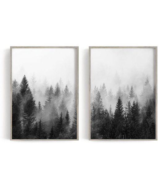 Постер лес в тумане