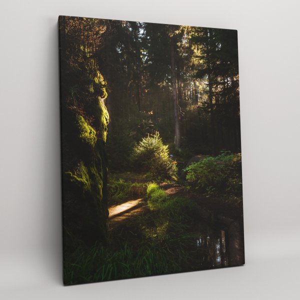 Постеры лес и город