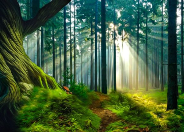 Обои на рабочий стол туман