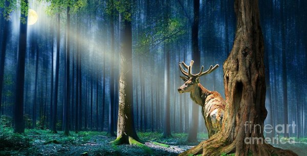 Лес призраков фильм 2016