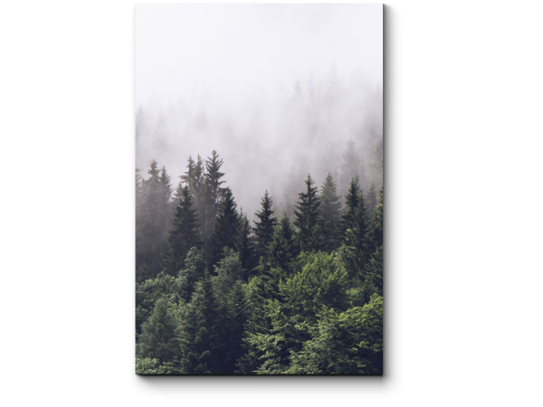 Олень в лесу