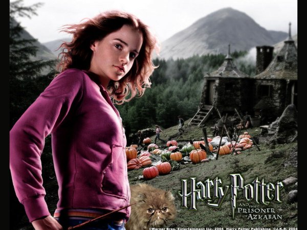 Люпин узник Азкабана