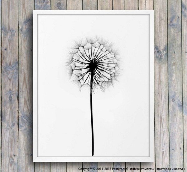 Постеры одуванчики на стену