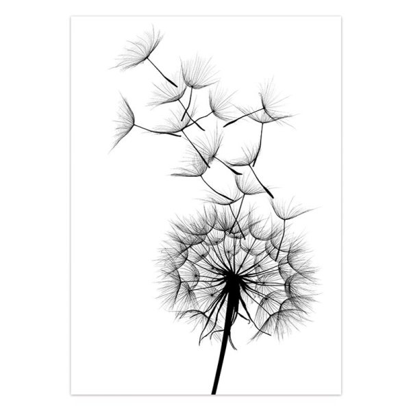 Постер "одуванчики"