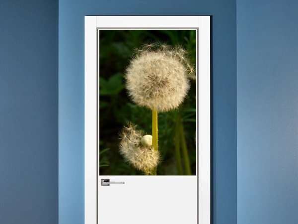 Картины одуванчики для интерьера