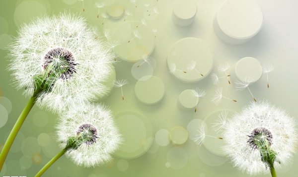 Одуванчик в скандинавском стиле