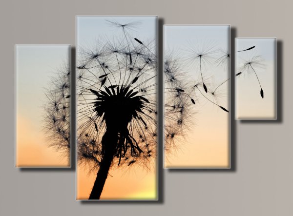 Фотообои белые одуванчики