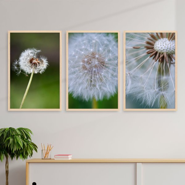 Стилизованные одуванчики