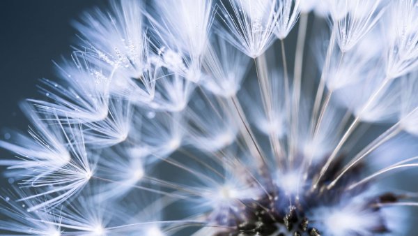 Постеры в коричневых тонах