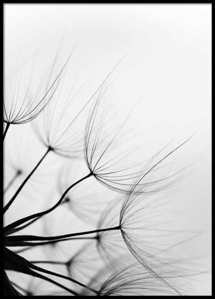 Фреска одуванчики