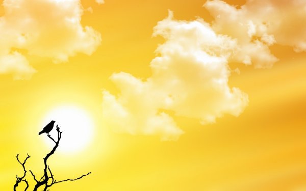 Драма Стивена Спилберга «Империя солнца»