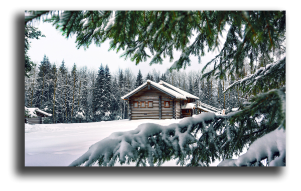 Зимний лес Постер