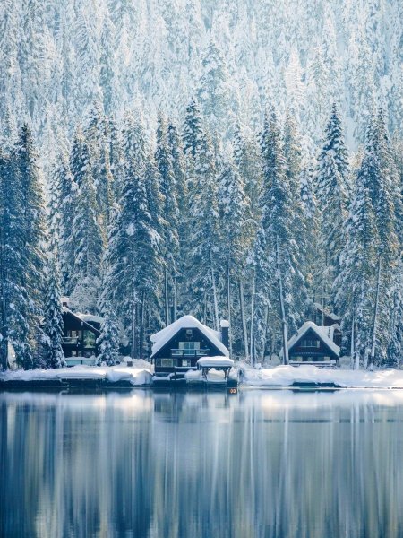 Зимний пейзаж