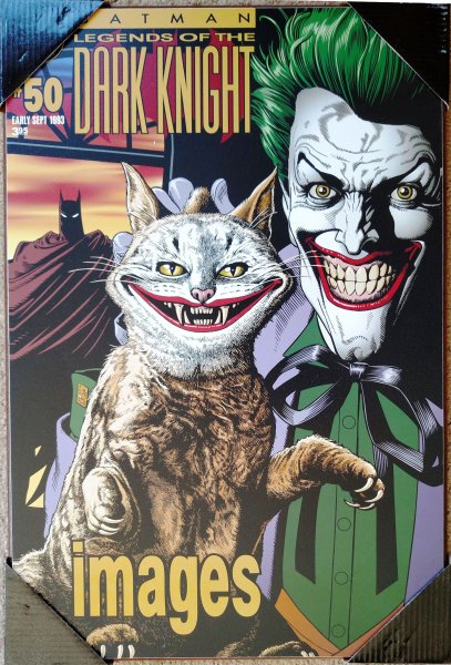 Джокер (DC Comics) фотофильм