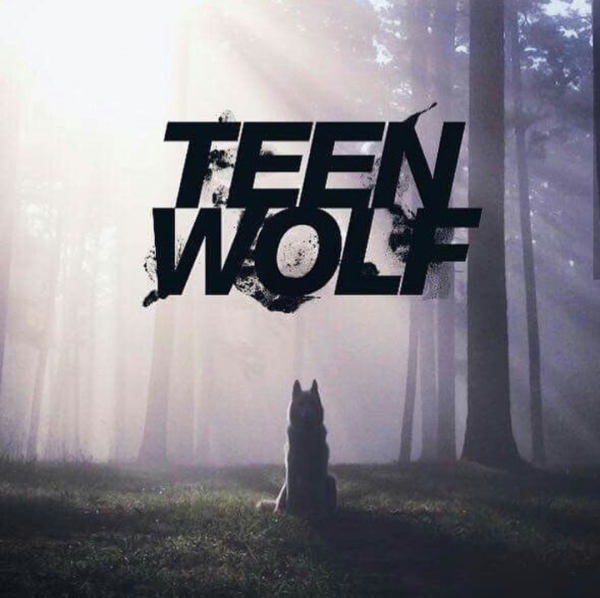 Волчонок 1 сезон Постер