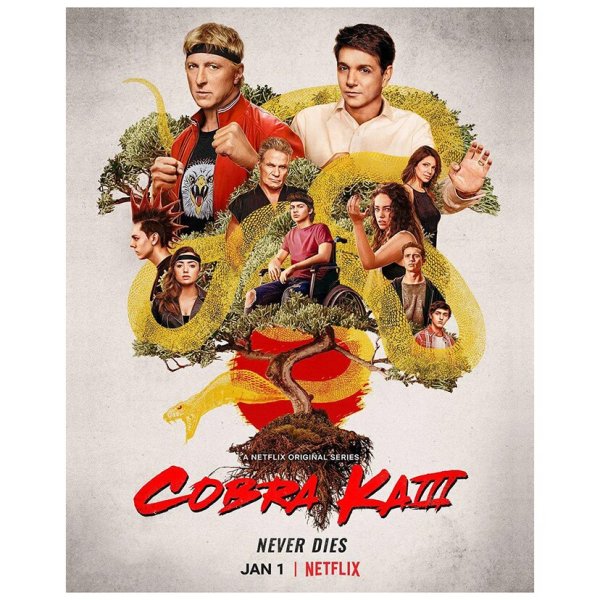 Cobra Kai Постер v