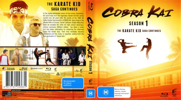 Обложка сериала Кобра Кай