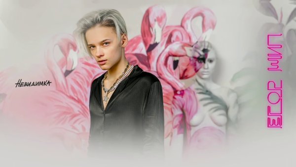 Егор шип Фламинго