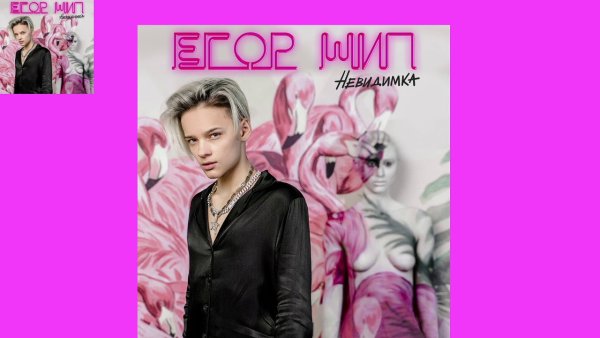 Девчонка невидимка Егор шип